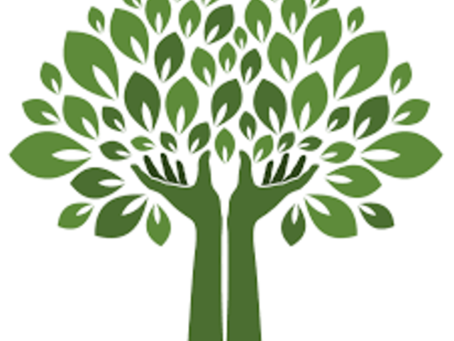 Family Extended Care of Sebring 